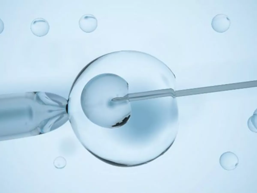 fecundacion-invitro.jpg